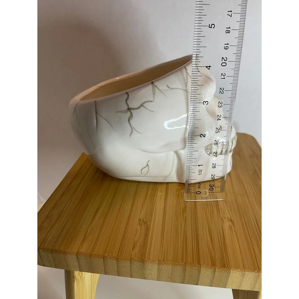 Royal Norfolk Ceramic‎ Skull Planter Candy Bowl Halloween Spooky Season